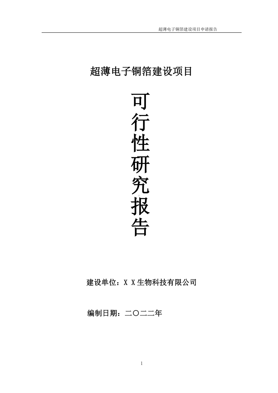 超薄电子铜箔项目可行性研究报告备案申请模板.doc_第1页