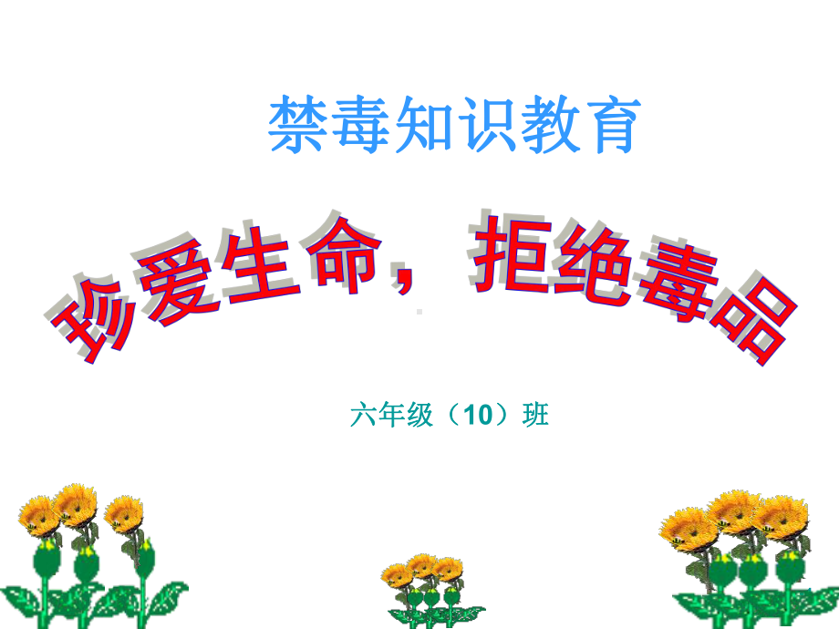 小学禁毒教育课件.ppt_第1页