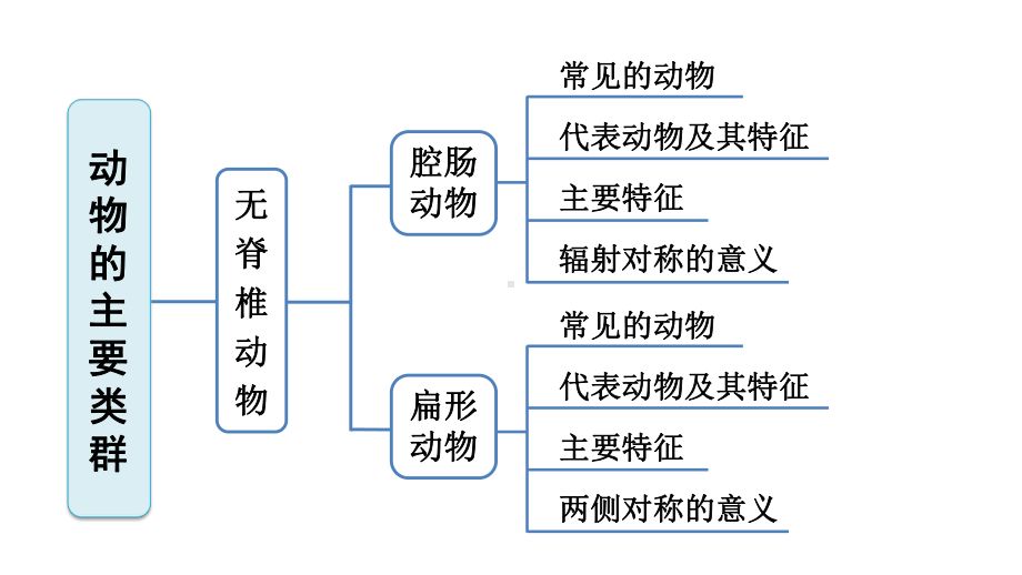 新人教版八年级上册生物(第1章动物的主要类群)期末复习课件(含重点题).ppt_第2页