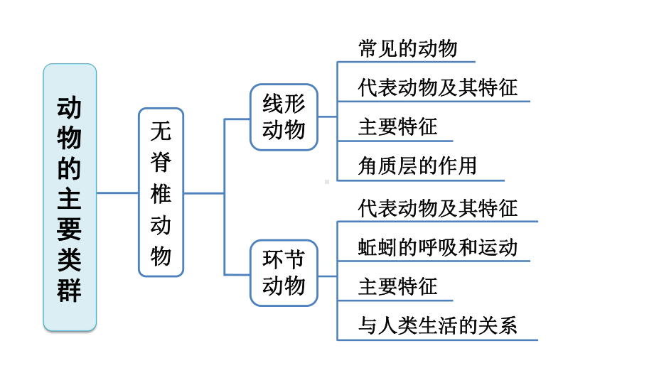 新人教版八年级上册生物(第1章动物的主要类群)期末复习课件(含重点题).ppt_第3页