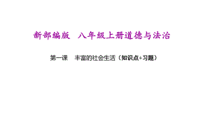 新部编版八年级上册道德与法治(第一课丰富的社会生活)期末复习课件.ppt