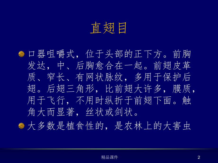 常见森林昆虫课件.ppt_第2页