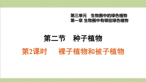 新人教版七年级上册生物 3122 裸子植物和被子植物 重点习题练习复习课件.ppt