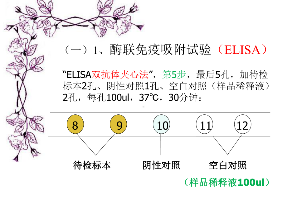 待检标本阴性对照空白对照样品稀释液100ul课件.ppt_第2页