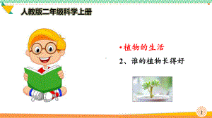 最新2021 2022人教版科学二年级上册《谁的植物长得好》优质课件.pptx