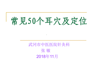 常见50个耳穴及定位(11月)课件.ppt