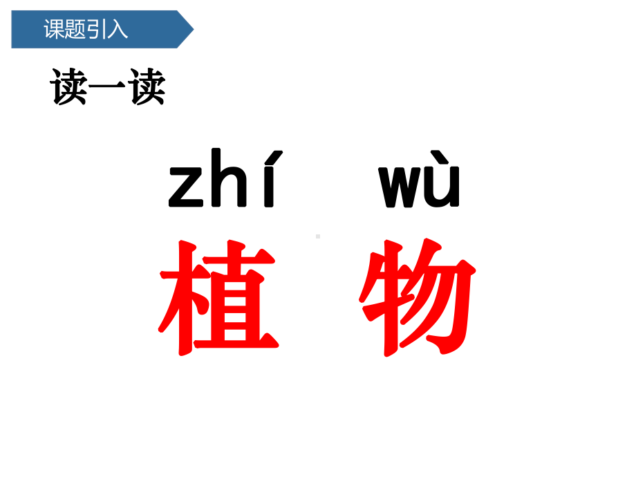 教科版科学一年级上册 第一单元1我们知道的植物课件.pptx_第3页