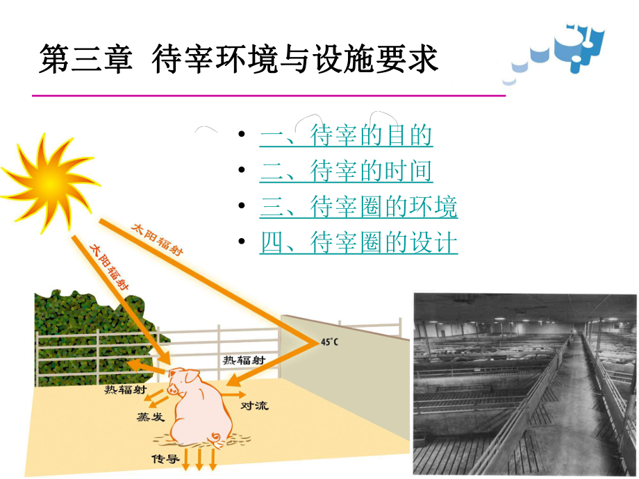 待宰环境和设施要求课件.pptx_第1页