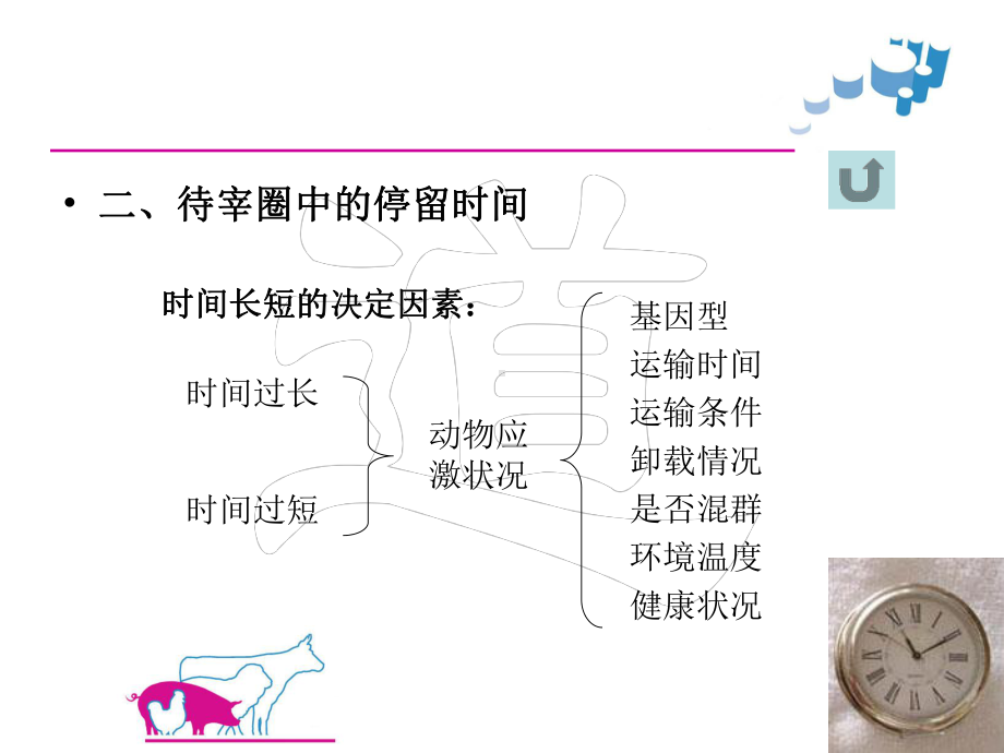 待宰环境和设施要求课件.pptx_第3页