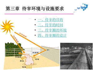 待宰环境和设施要求课件.pptx