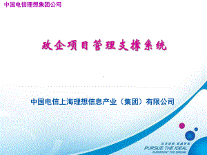 政企项目管理支撑系统 理想v课件.ppt