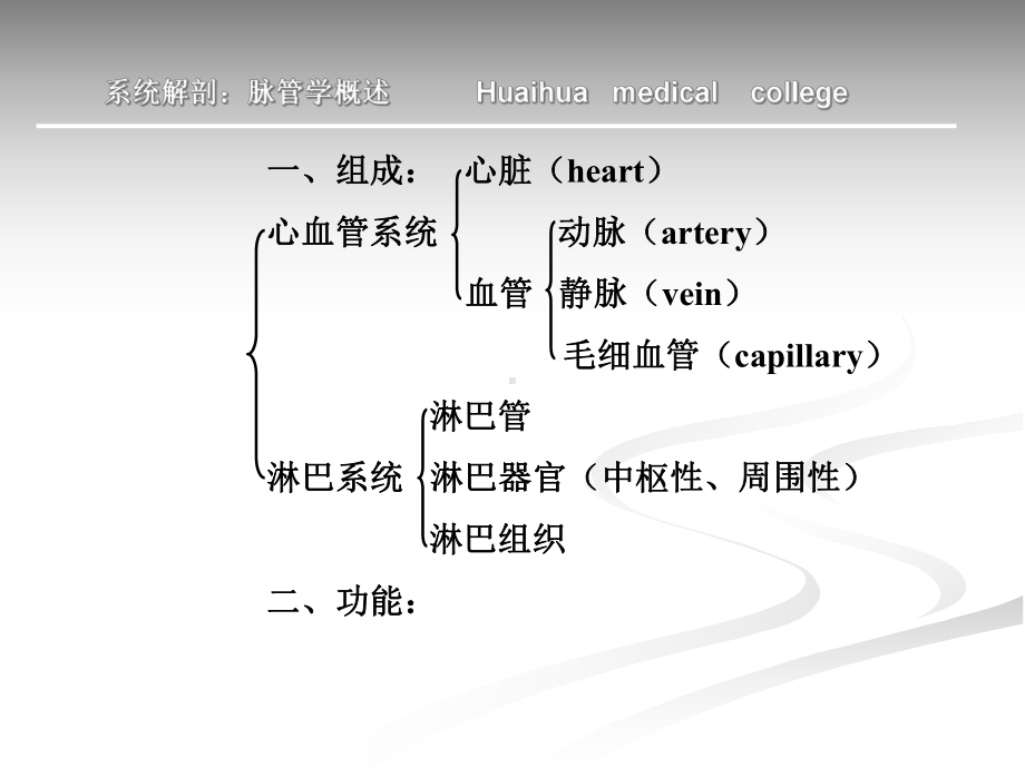 心脏培训教程课件.pptx_第3页