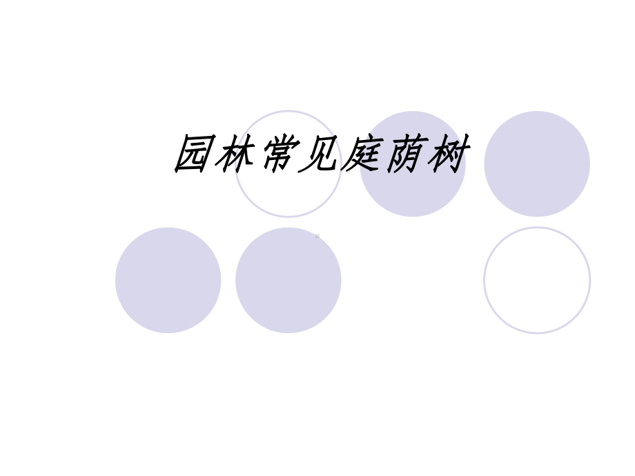 常见庭荫树课件.ppt_第1页