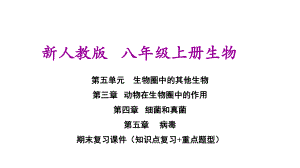 新人教版八年级上册初二生物期末复习课件(第四章 细菌和真菌 第五章病毒).ppt