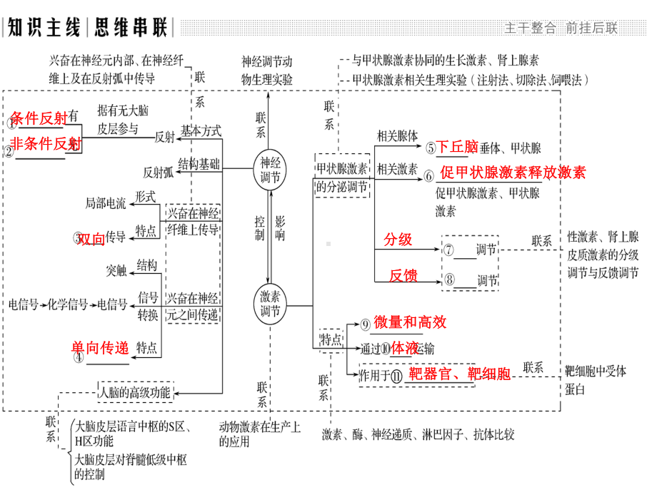 教学用 神经体液免疫调节汇总.ppt_第2页