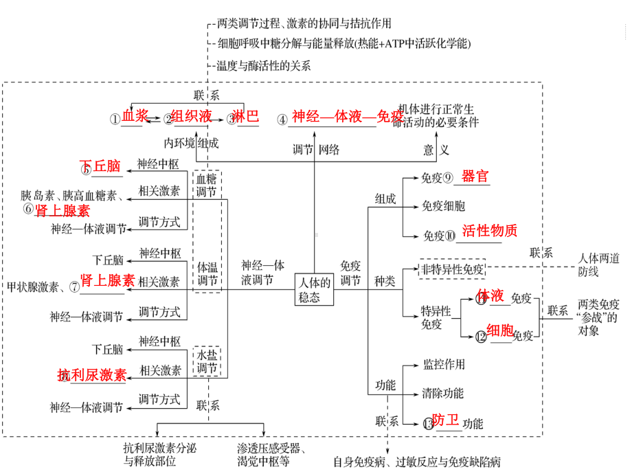 教学用 神经体液免疫调节汇总.ppt_第3页