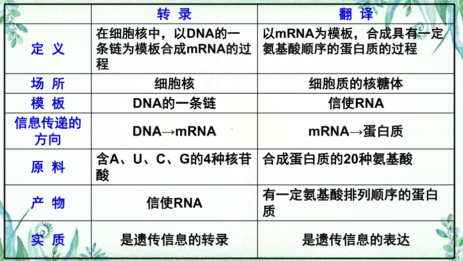 新教材生物《基因指导蛋白质的合成》课件1.pptx_第3页