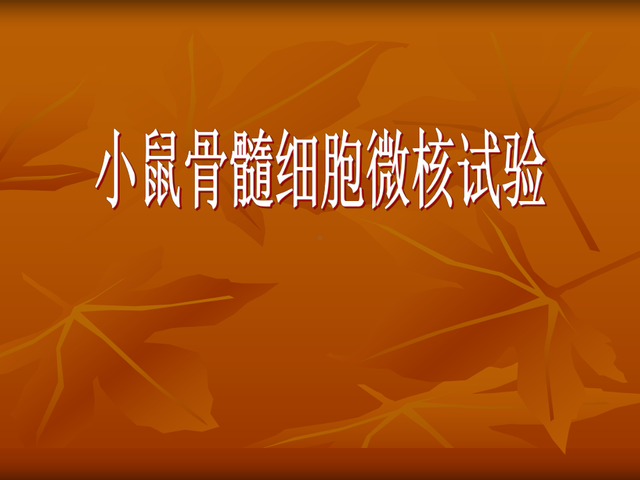 小鼠骨髓细胞微核试验课件.ppt_第1页