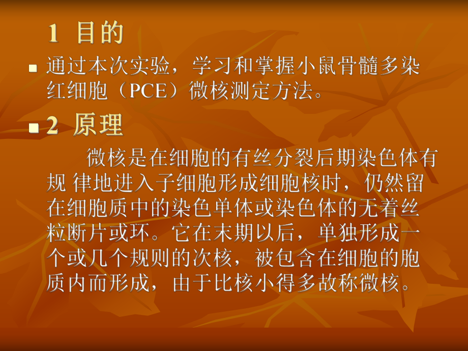 小鼠骨髓细胞微核试验课件.ppt_第2页