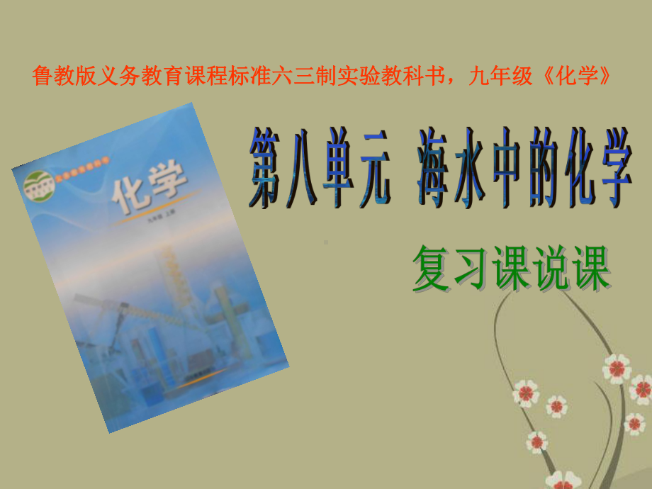 山东省某中学九年级化学全册 第八单元 海水中的化学说课课件 鲁教版.ppt_第1页