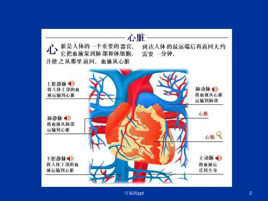 心力衰竭精(内科学第八版)课件.ppt_第2页