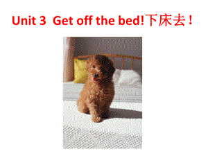 新概念英语青少版课件 starter B Unit 3 Get off the bed!.pptx-(纯ppt课件,无音视频素材)