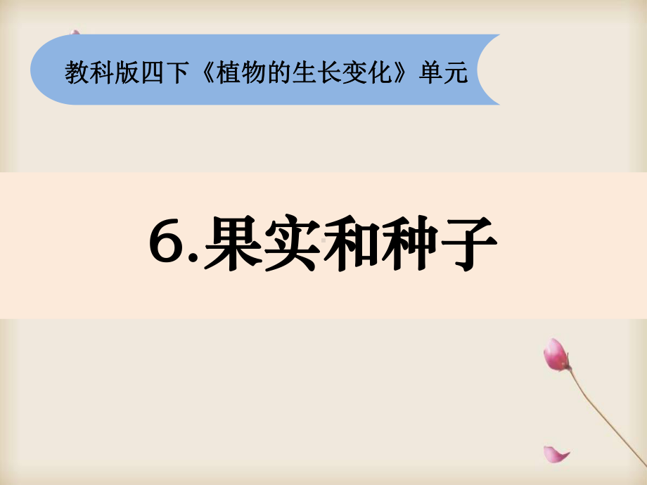 新教科版四年级下册课件：1 6《果实和种子》.pptx_第2页