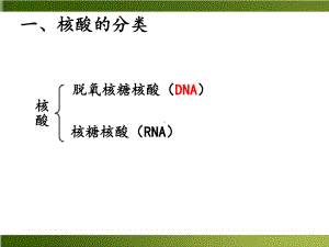 新（人教版材）核酸优秀1课件.ppt