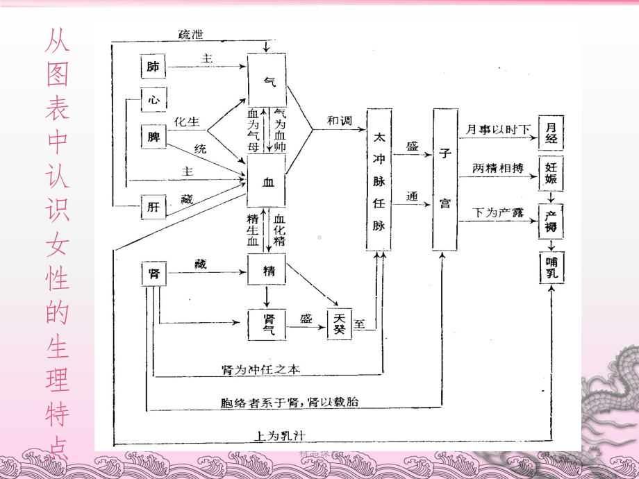 常见妇科疾病课件.ppt_第2页