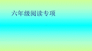 小学六年级语文总复习阅读专项课件.ppt