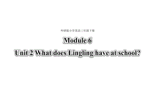 三年级下册英语课件 Module 6 Unit 2 What does Lingling have at school 96 外研版（三起）.pptx