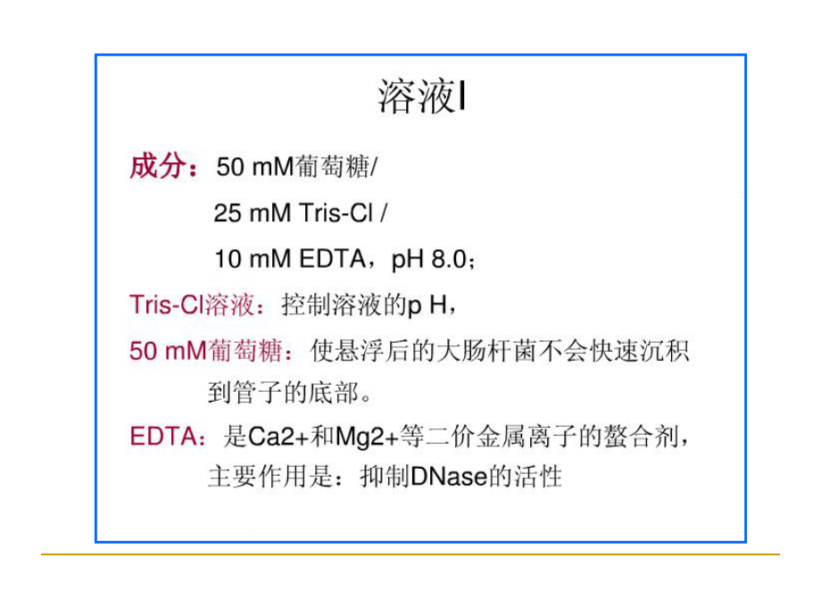 质粒DNA的提取与酶切电泳鉴定学习培训课件.ppt_第3页