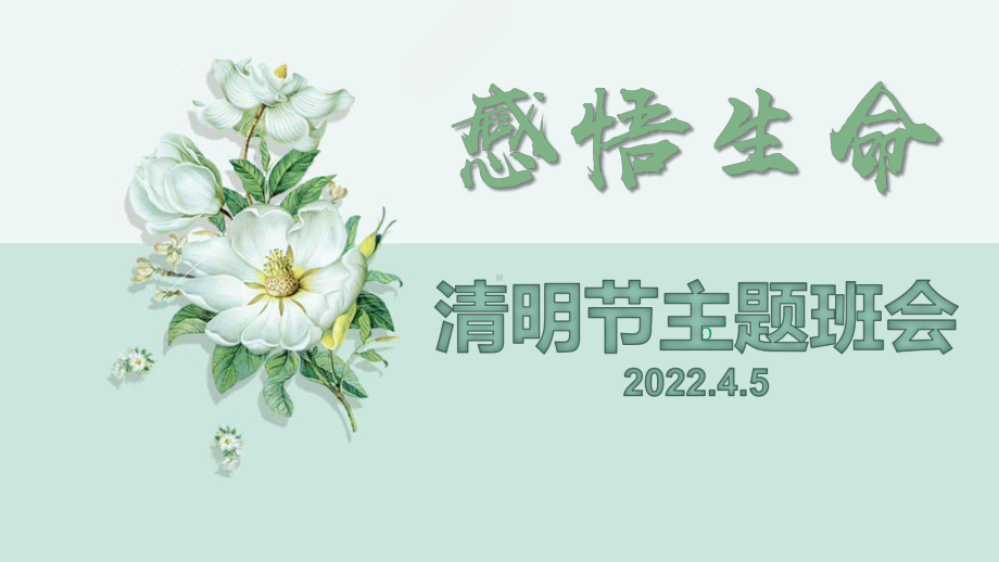 2022秋班会ppt课件感悟生命.pptx_第1页