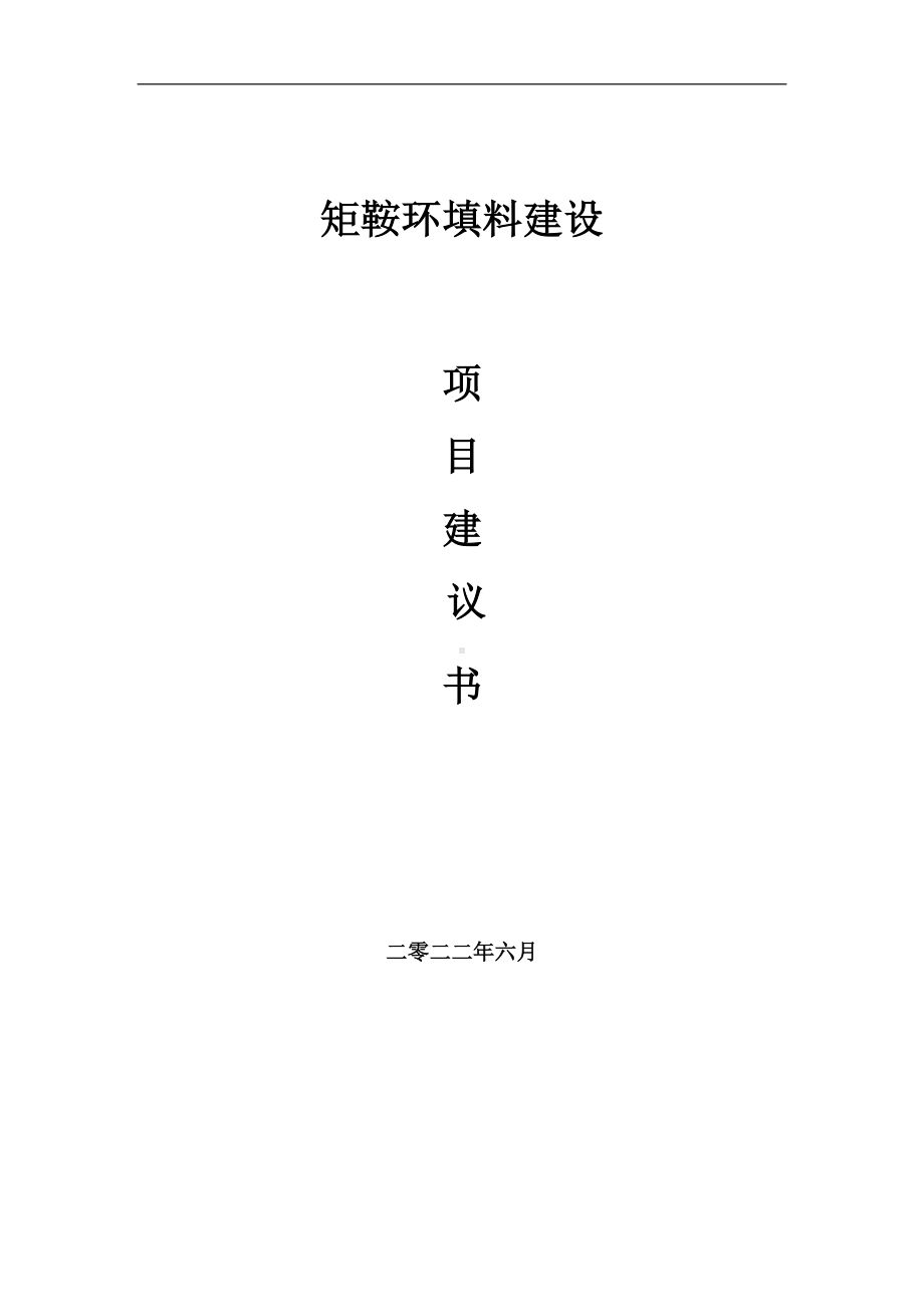 矩鞍环填料项目建议书（写作模板）.doc_第1页