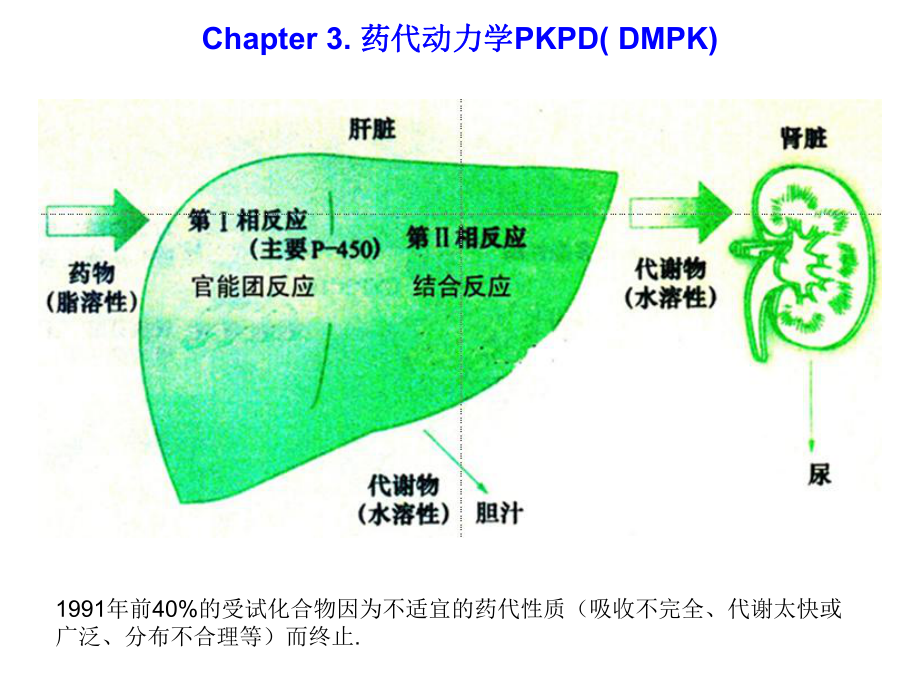 Chapter3.药代动力学PKPD(DMPK)学习培训模板课件.ppt_第1页