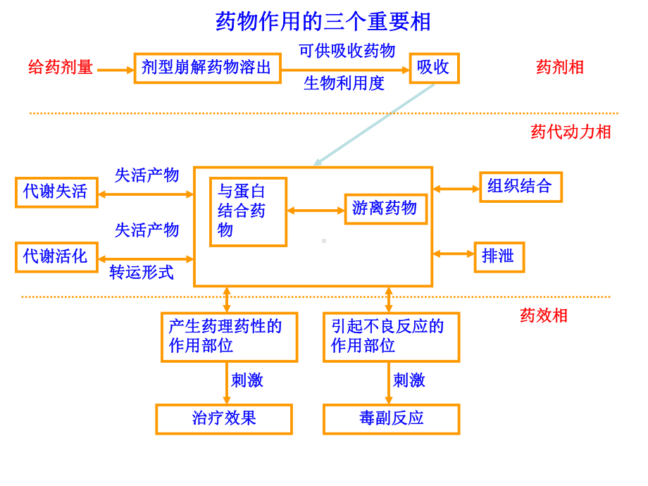 Chapter3.药代动力学PKPD(DMPK)学习培训模板课件.ppt_第3页