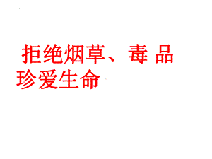 拒绝烟草、毒品珍爱生命 主题班会ppt课件 2022秋下学期.pptx