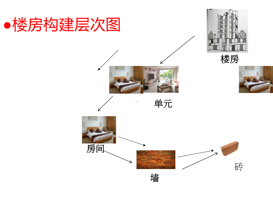 六年级科学下册课件-4人体的组成 - 冀人版（共19张PPT）.ppt_第2页