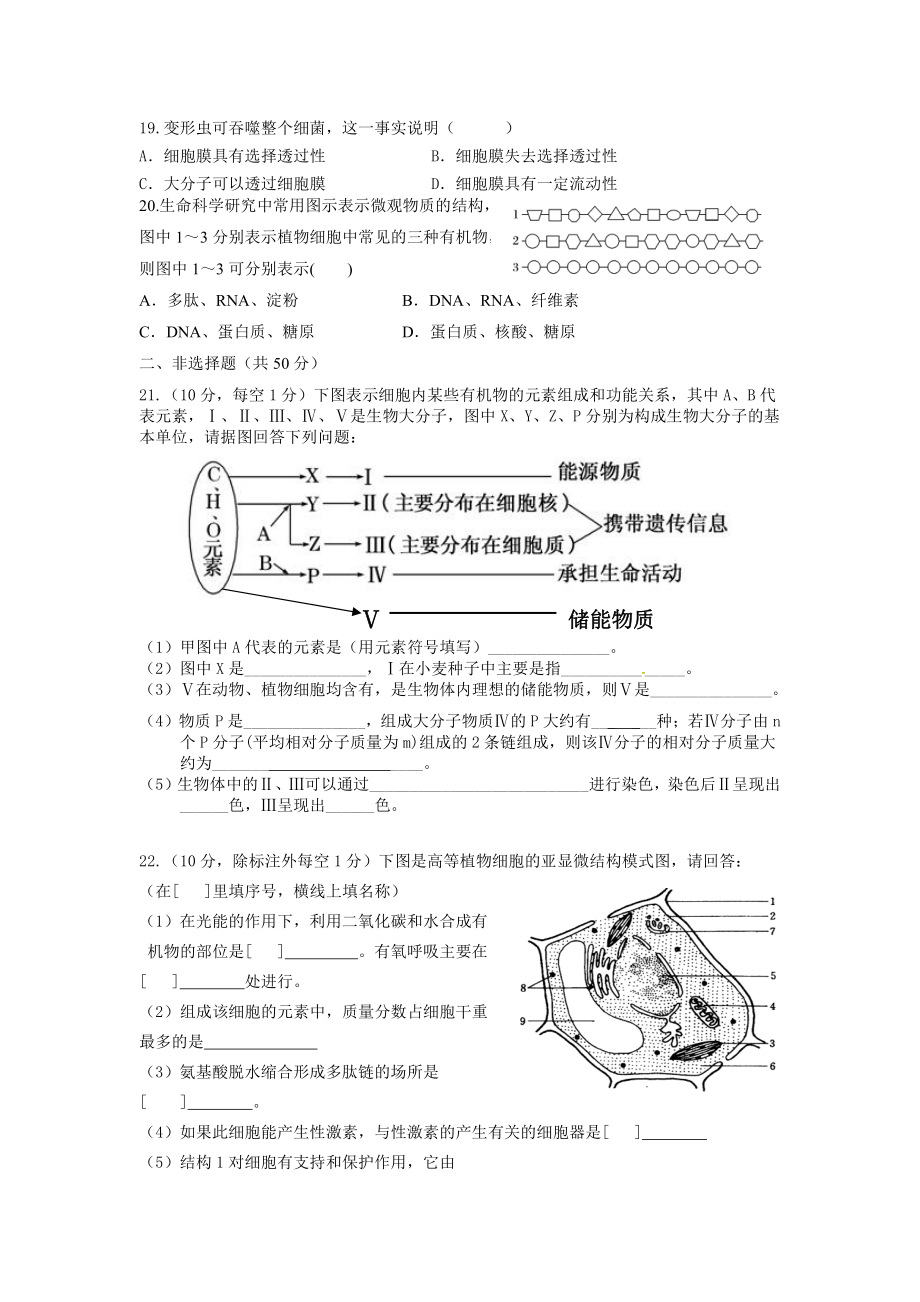 四川省芦山中学2022-2023学年高一上学期期中考试生物试题.pdf_第3页