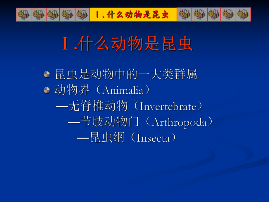 昆虫研究方法学习培训模板课件.ppt_第3页