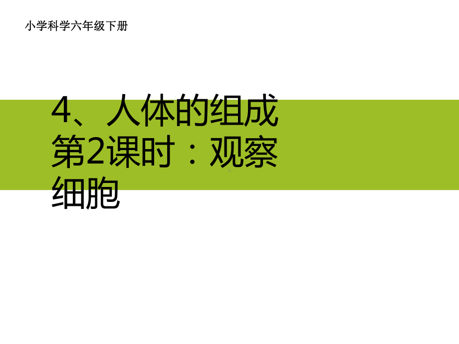 六年级科学下册课件-4人体的组成10-冀人版（15张PPT).ppt_第1页