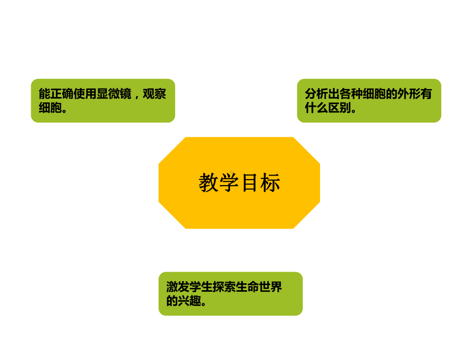 六年级科学下册课件-4人体的组成10-冀人版（15张PPT).ppt_第2页