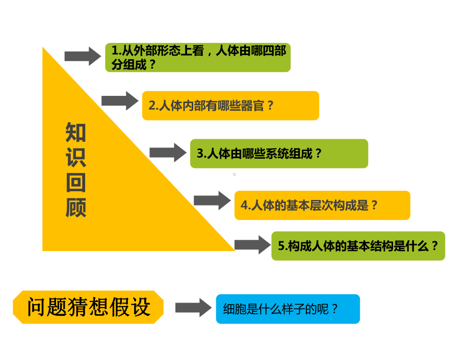 六年级科学下册课件-4人体的组成10-冀人版（15张PPT).ppt_第3页