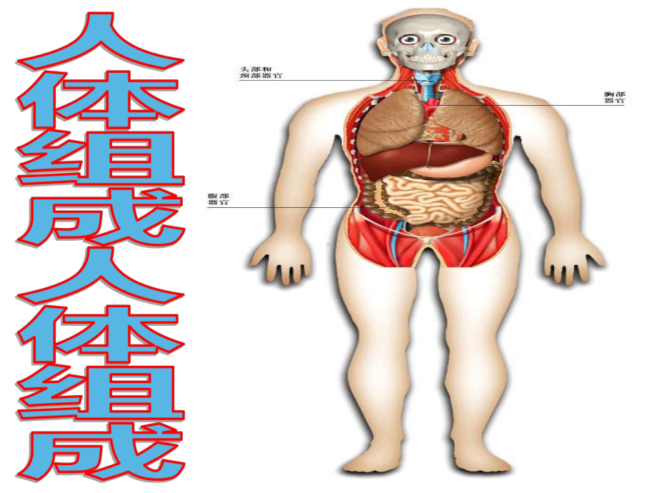 六年级科学下册课件 - 4人体的组成 - 冀人版（共20张PPT）.ppt_第1页