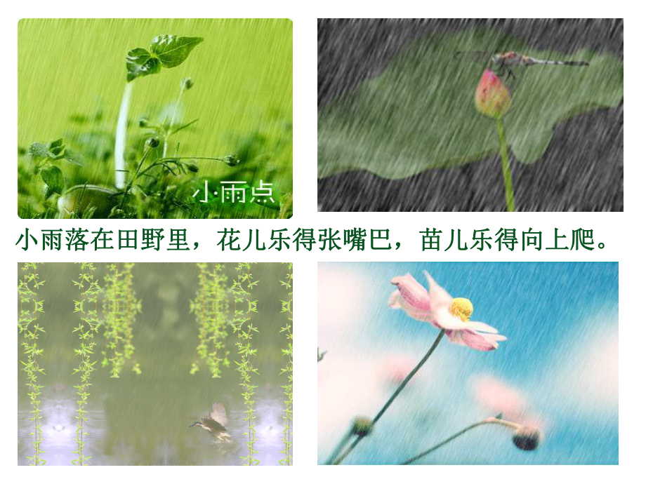 一年级美术下册课件-1. 小雨沙沙7-湘美版.pptx_第3页