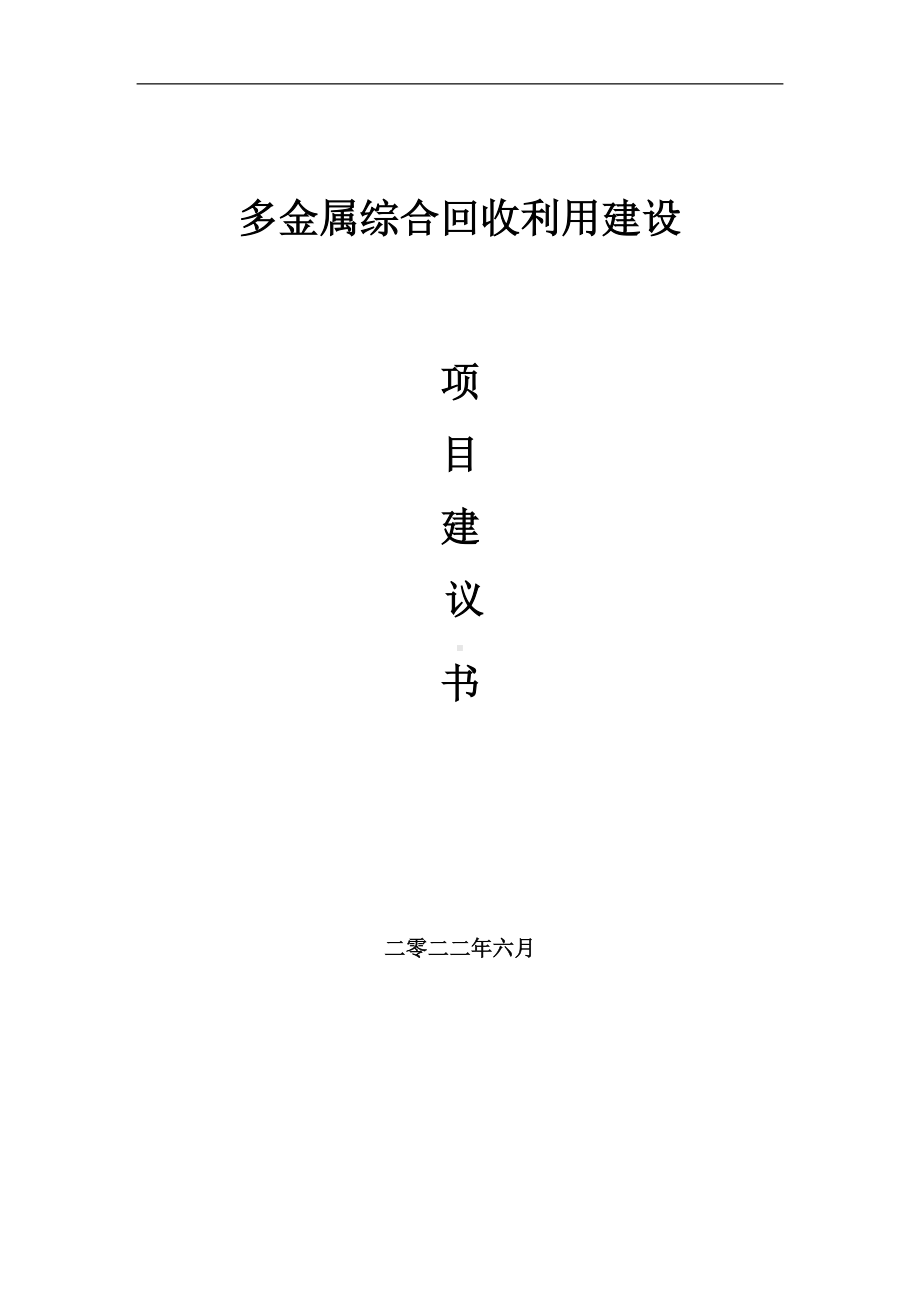 多金属综合回收利用项目建议书（写作模板）.doc_第1页