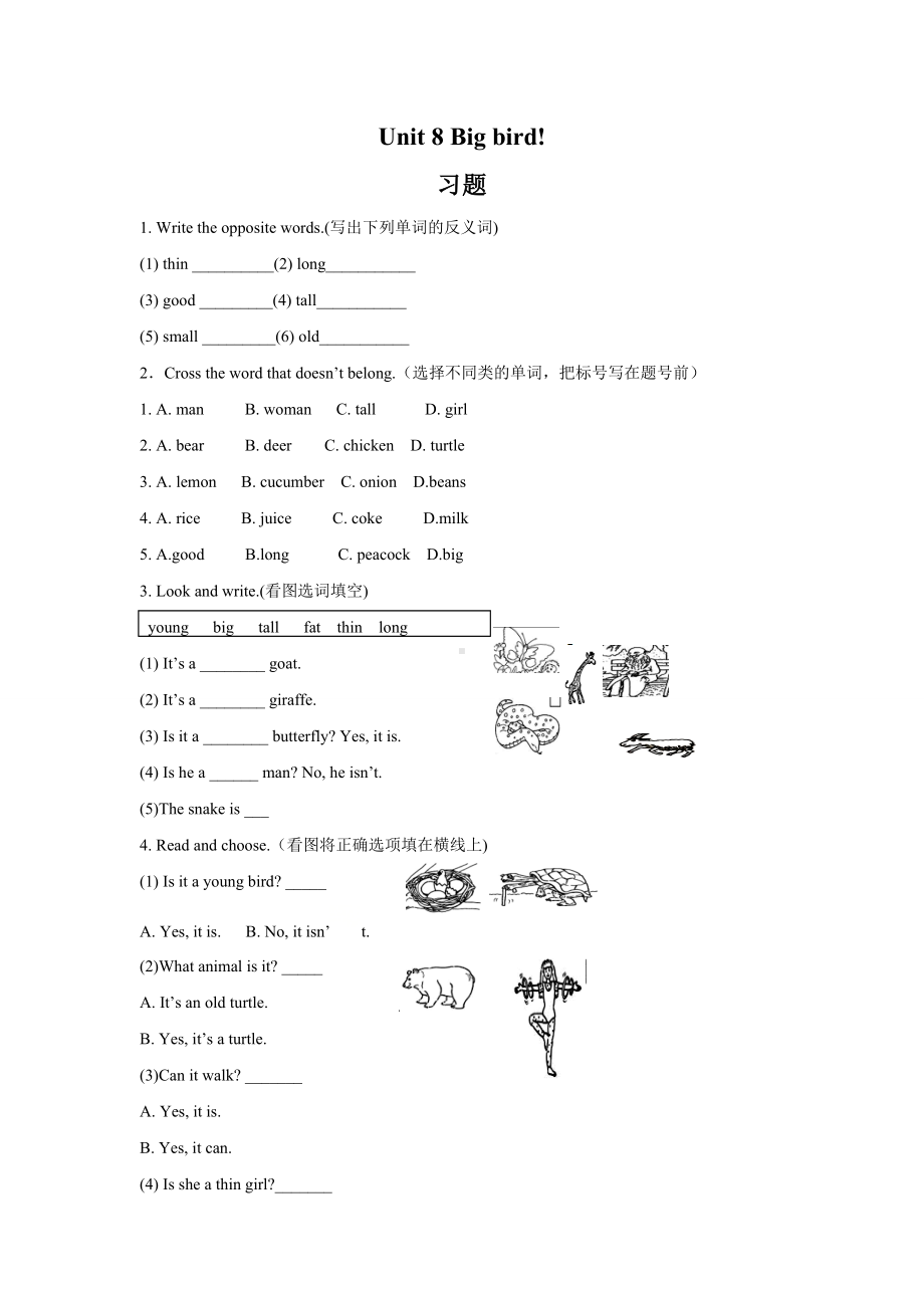 三年级下册英语试题 Unit 8 Big bird! 习题 （含答案）北师大版（一起）.doc_第1页