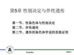 第5章性别决定与伴性遗传学习培训模板课件.ppt