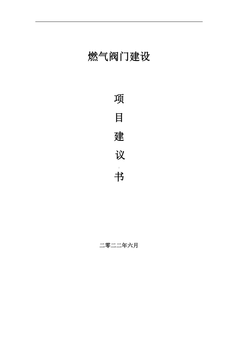 燃气阀门项目建议书（写作模板）.doc_第1页