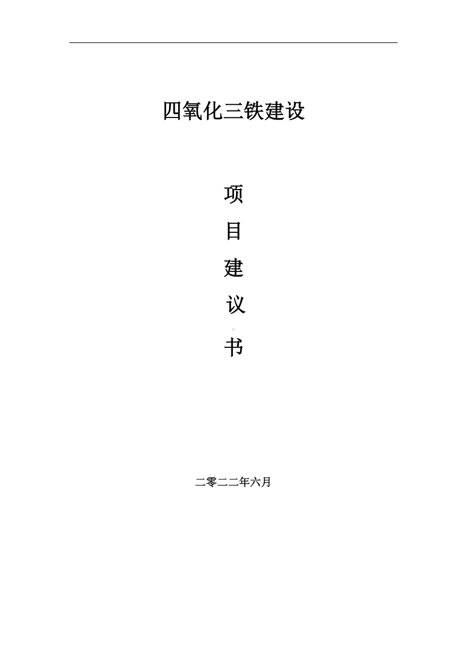 四氧化三铁项目建议书（写作模板）.doc_第1页